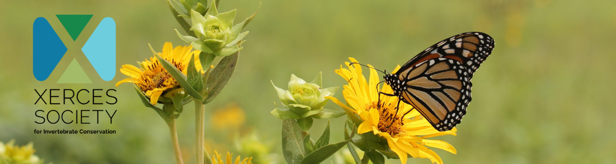 Your Fundraiser for Xerces